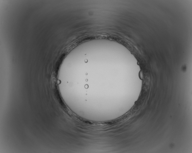 X0000097660707200802290922