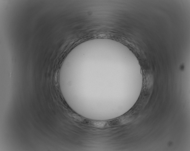 X0000097660709200802290922