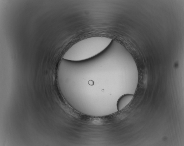 X0000097660710200802290922