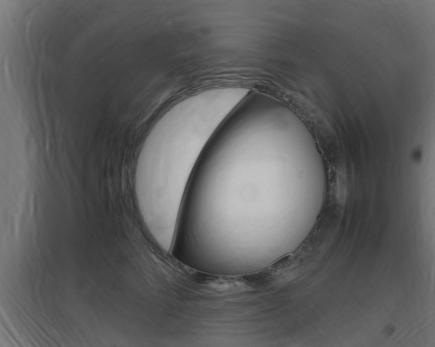 X0000097660712200802290922
