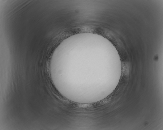 X0000097660713200802290922