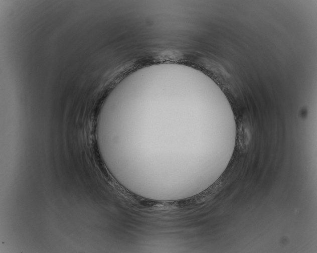 X0000097660714200802290922