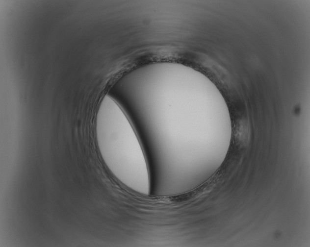 X0000097660715200802290922
