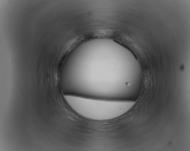 X0000097660716200802290922