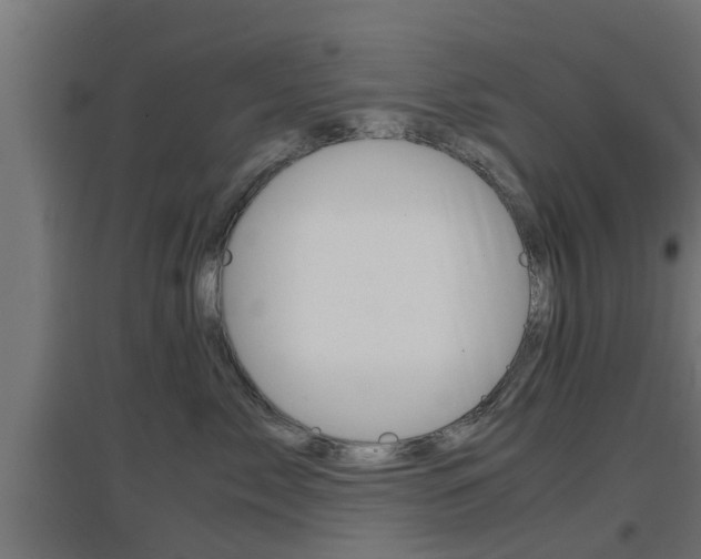 X0000097660717200802290922