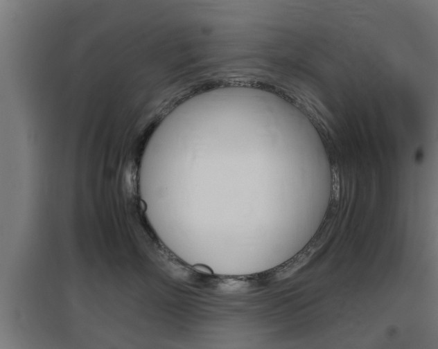 X0000097660718200802290922
