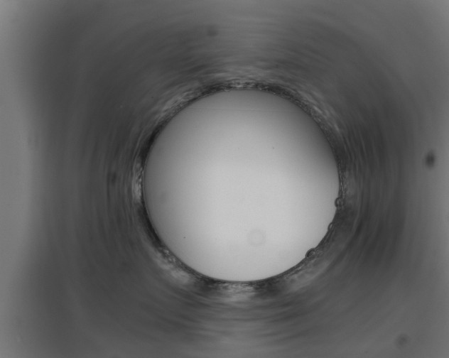 X0000097660719200802290922