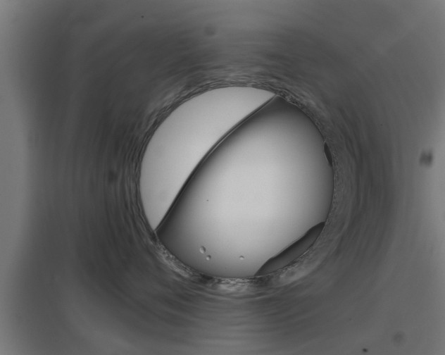 X0000097660720200802290921
