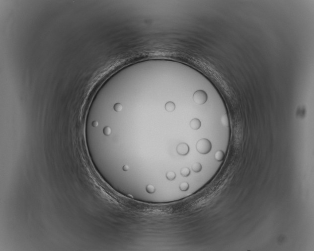 X0000097660721200802290921