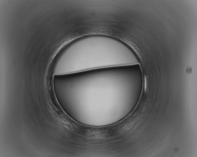 X0000097660723200802290921