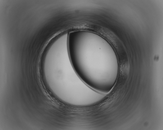 X0000097660724200802290921