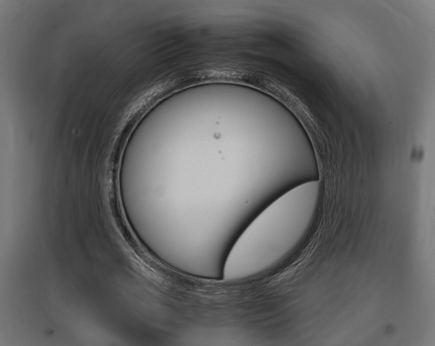 X0000097660725200802290921