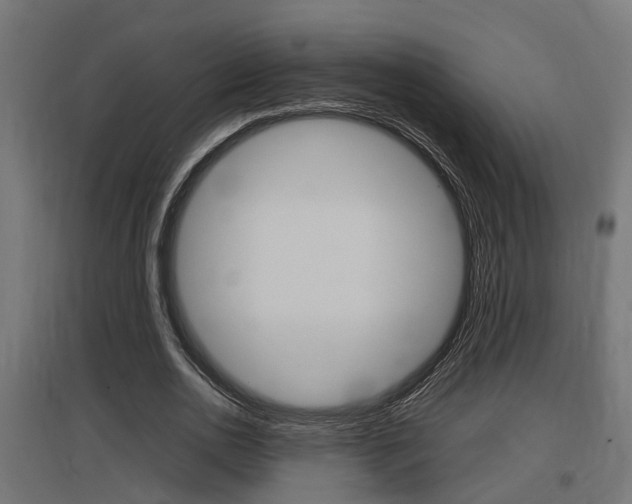 X0000097660726200802290921