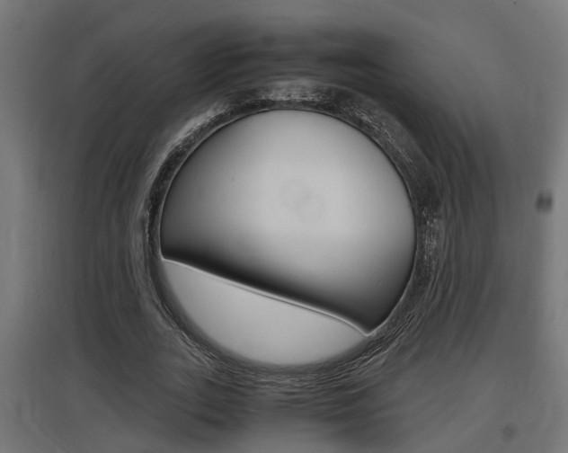 X0000097660727200802290921