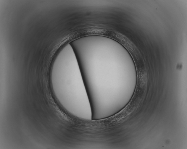 X0000097660729200802290921