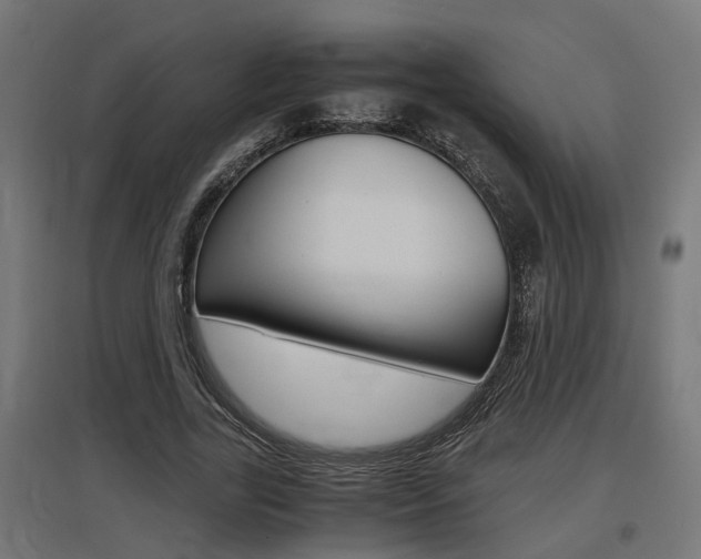 X0000097660731200802290921