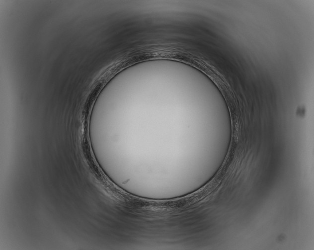 X0000097660733200802290921