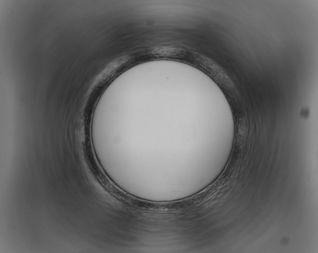 X0000097660734200802290921
