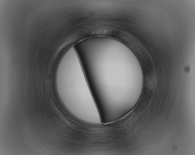 X0000097660735200802290921
