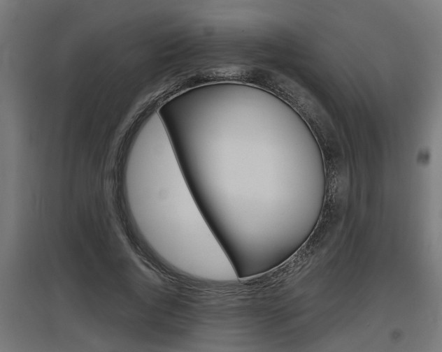 X0000097660736200802290921