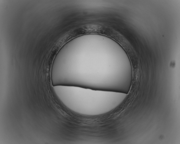 X0000097660737200802290921