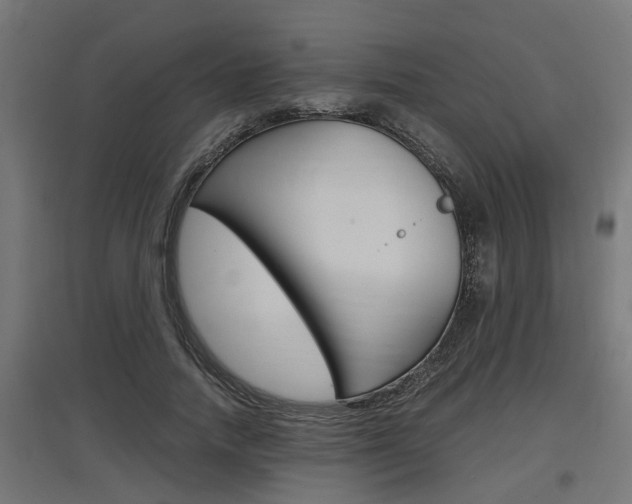 X0000097660738200802290921