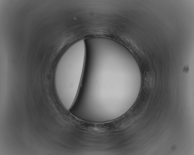 X0000097660739200802290921