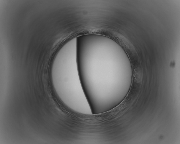 X0000097660740200802290921