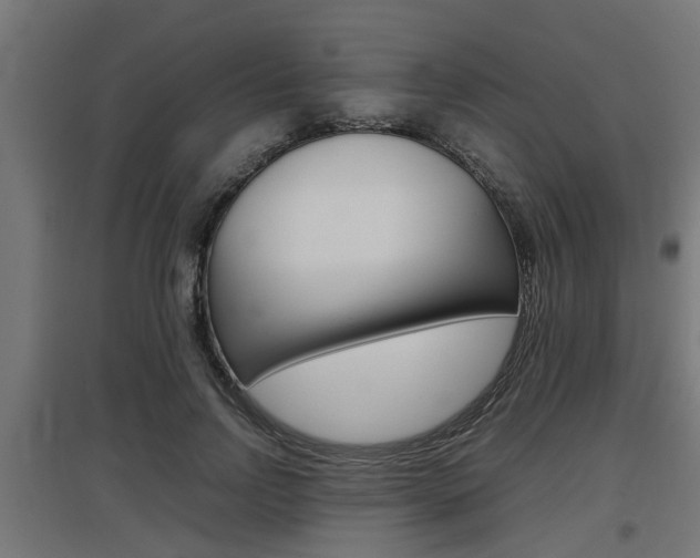 X0000097660742200802290921