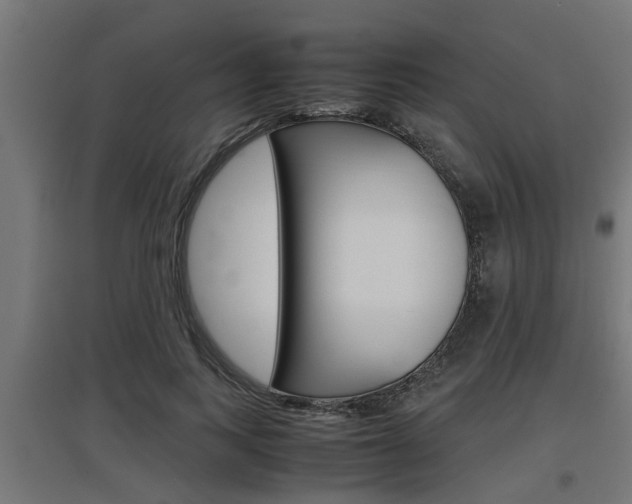 X0000097660743200802290921