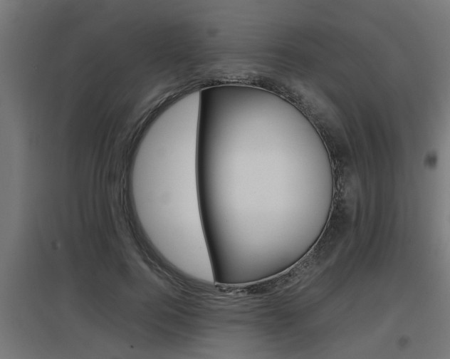 X0000097660744200802290921