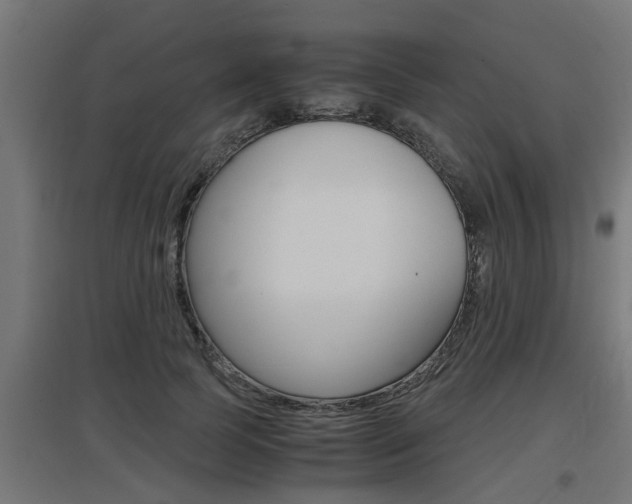 X0000097660745200802290921