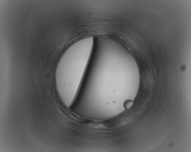 X0000097660747200802290921