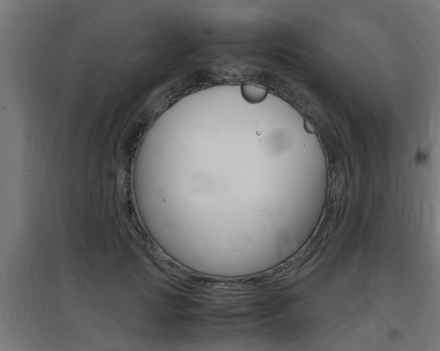 X0000097660749200802290921