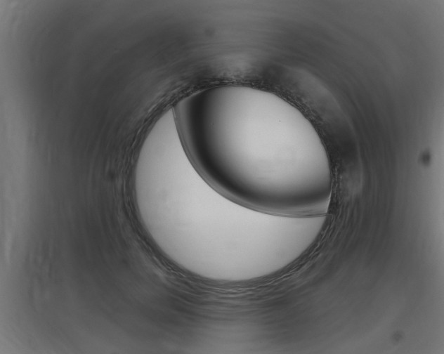 X0000097660750200802290921