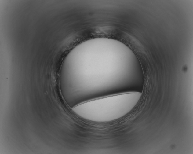 X0000097660751200802290921
