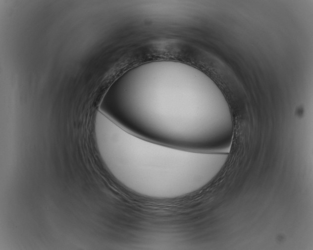 X0000097660752200802290921