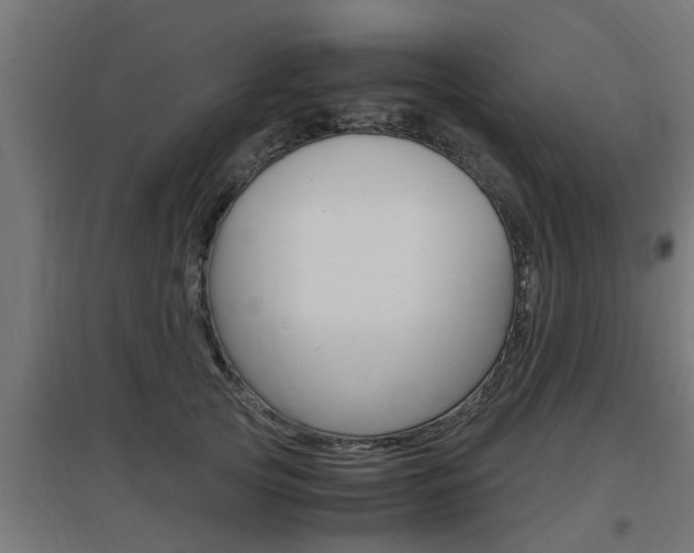 X0000097660753200802290921