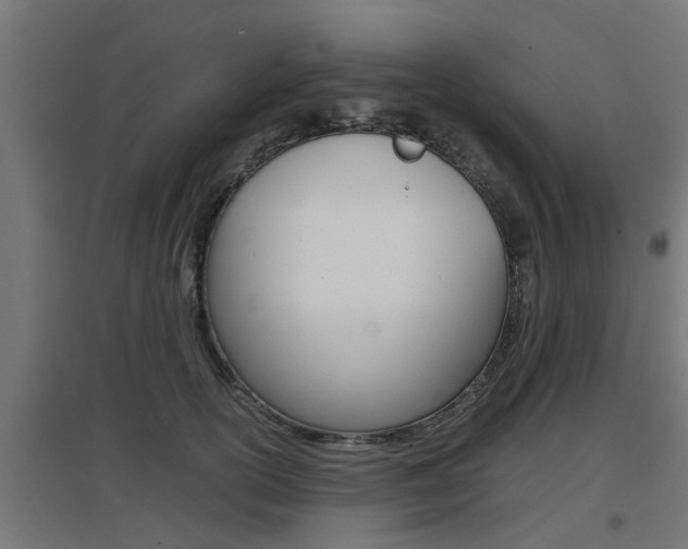 X0000097660754200802290921