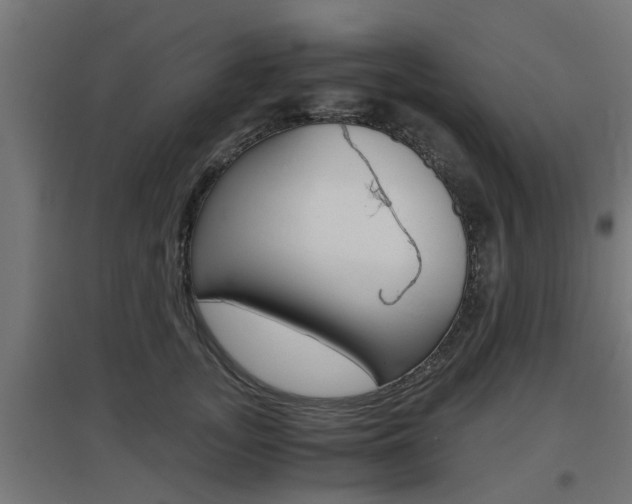 X0000097660755200802290921
