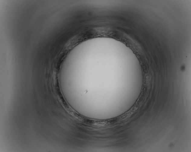 X0000097660757200802290921