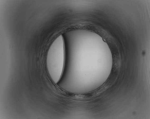 X0000097660758200802290921