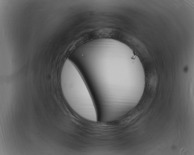 X0000097660759200802290921
