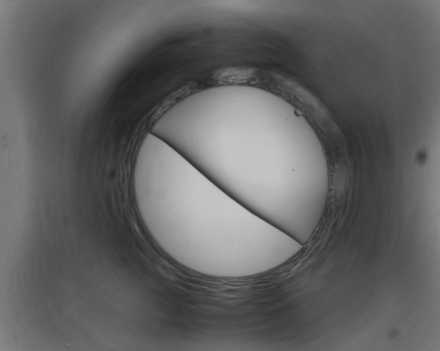 X0000097660761200802290921