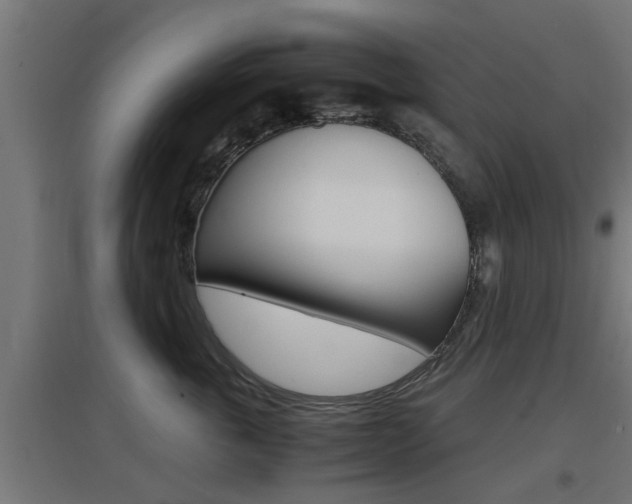 X0000097660763200802290921
