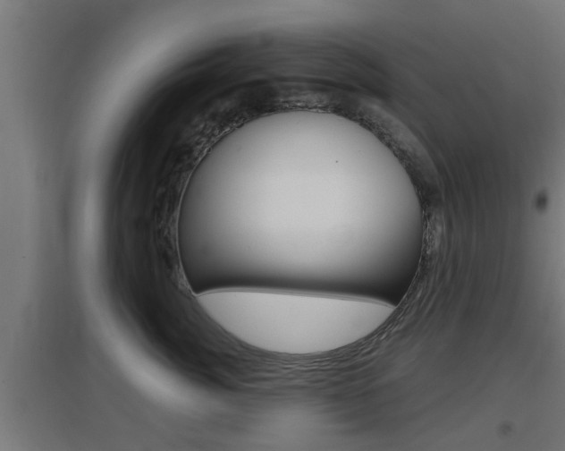 X0000097660764200802290921