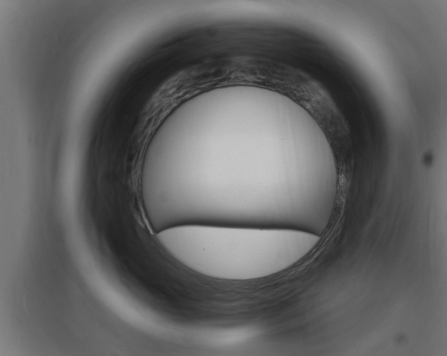X0000097660765200802290921