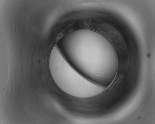 X0000097660766200802290921