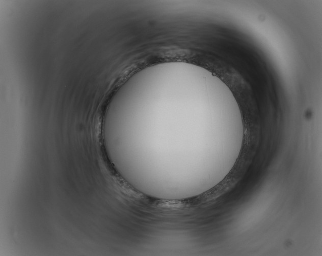 X0000097660767200802290921