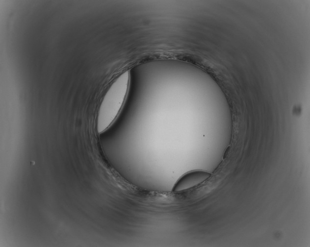 X0000097660768200802290921